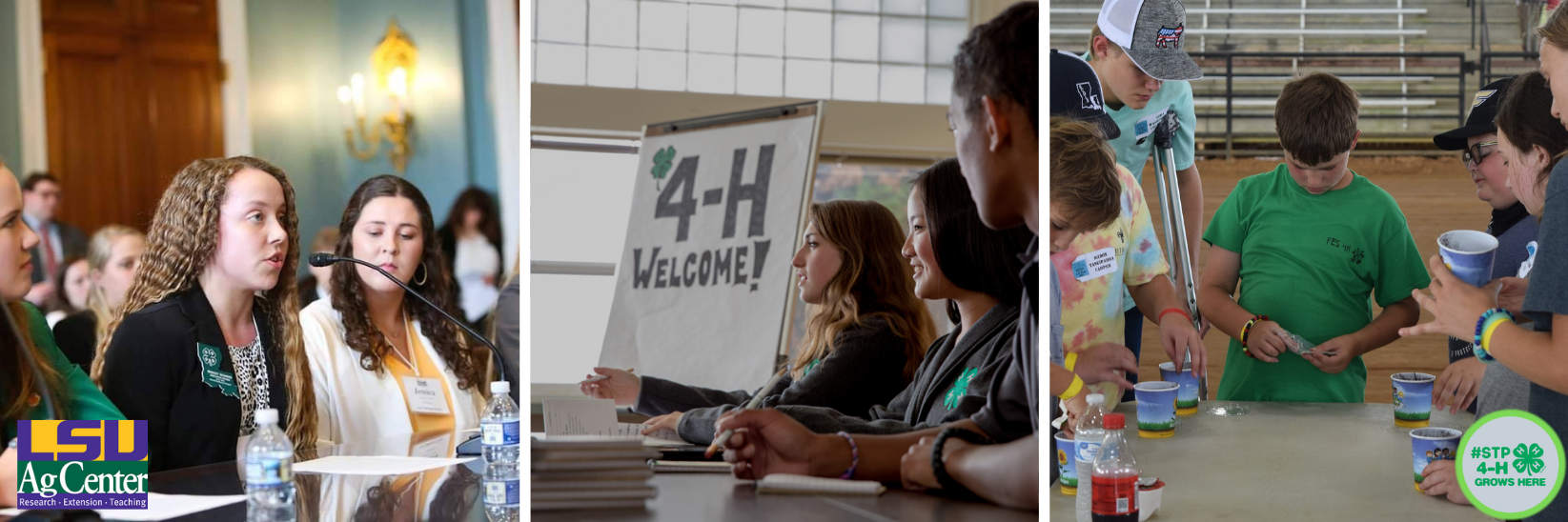STP 4-H Website.png thumbnail